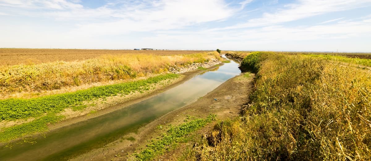 elvelop_JillJoh_california_forside