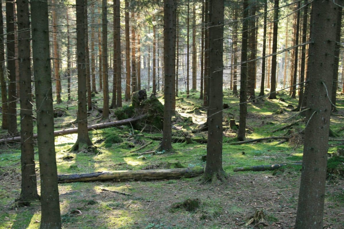 2426765253_a76c0e4659_o