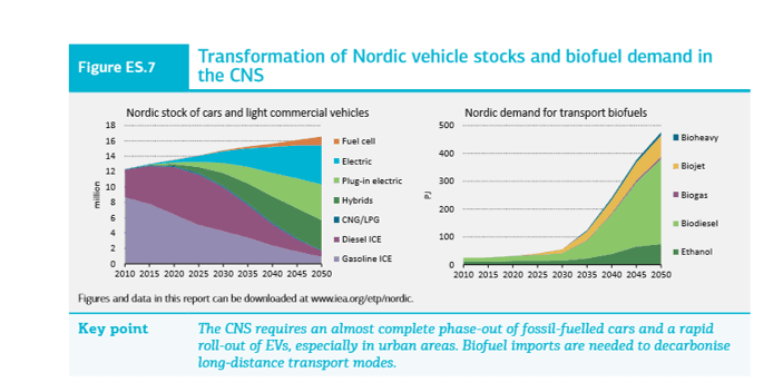 Fossil bensin og diesel skal ut, mens elektrisitet og biofuels skal inn.