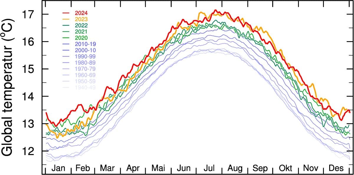 Graf som viser globale temperaturtrender fra 1950 til 2024, med varmere år de siste tiårene, som nådde toppen i sommermånedene. 2024-linjen er uthevet i rødt.