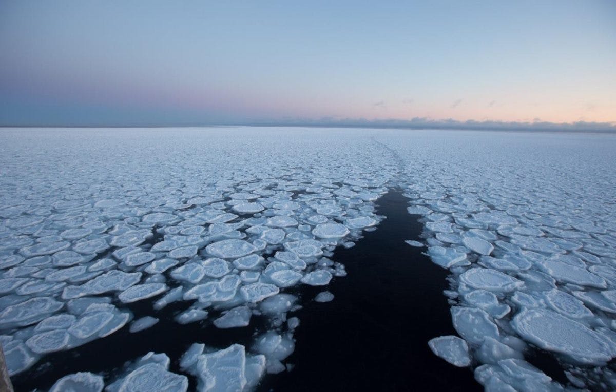 Et stort havisområde med sirkulære isformasjoner som flyter på vannoverflaten under en klar himmel under solnedgang.