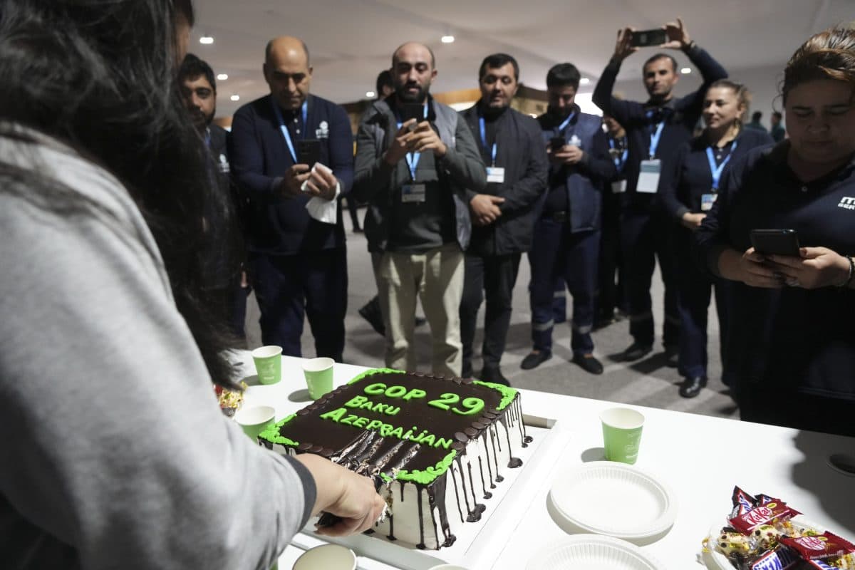 En person skjærer en rektangulær kake med "COP 29 Baku Azerbaijan" skrevet på den. Flere personer står rundt, noen tar bilder. Tallerkener og snacks står på bordet.