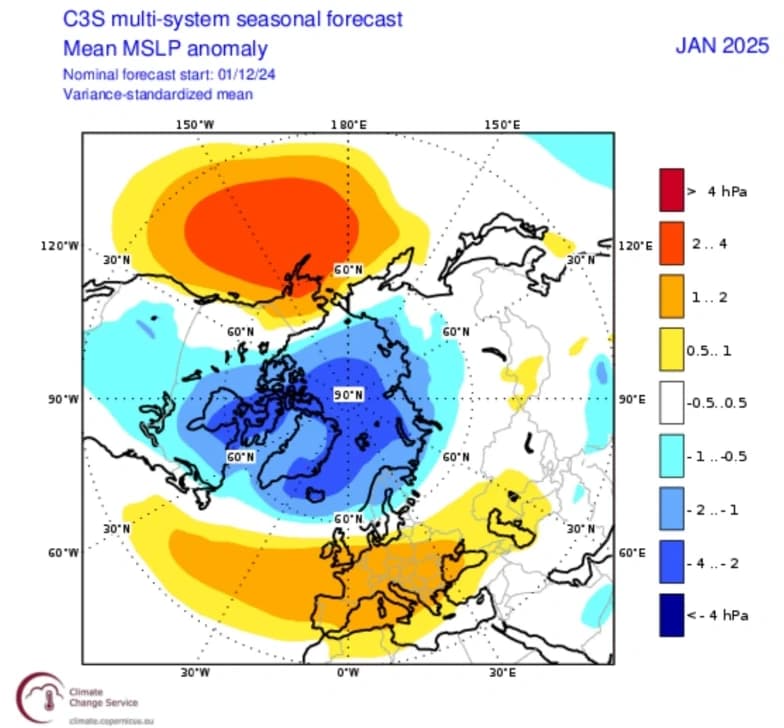 Kart som viser C3S flersystems sesongprognose for januar 2025, som fremhever gjennomsnittlige MSLP-avvik med fargekodede trykkendringer over den nordlige halvkule.