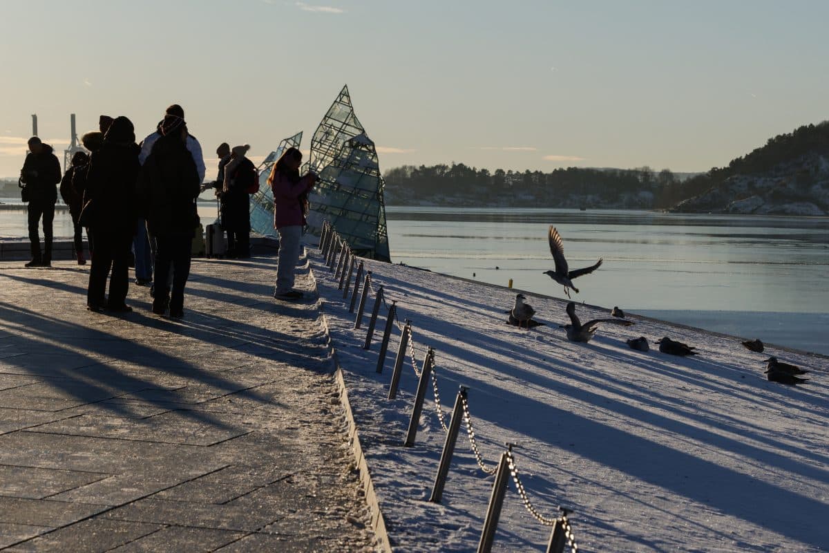 Folk står og tar bilder ved en snødekt vannkant med fugler som flyr og en glassskulptur i nærheten.