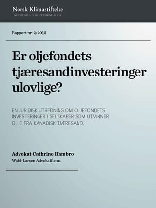 rapport2_artikkel