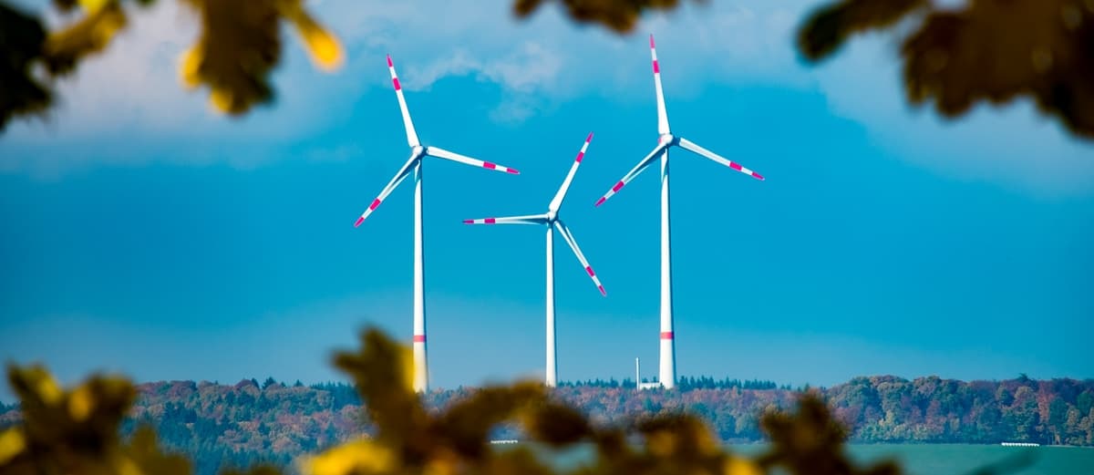 windraeder_schermannski_f