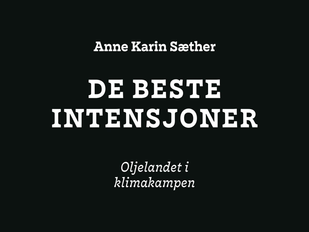 debesteintensjoner_omslag_u