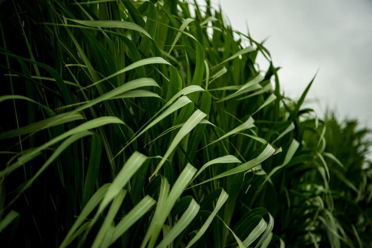 36762810971_b203c52b4f_k