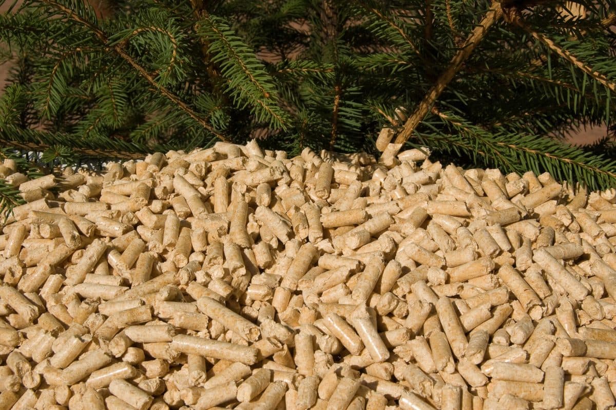 7650644918_da9b850f2d_k