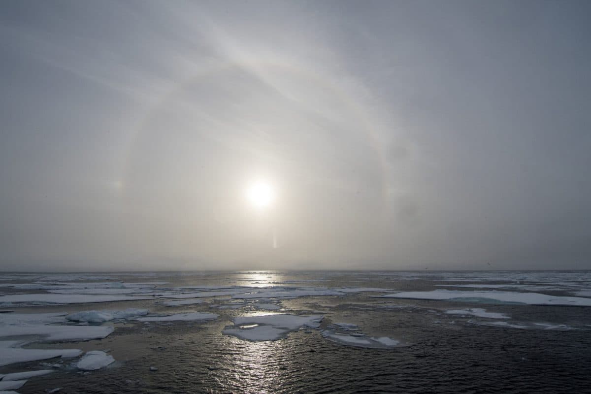 43036227440_5e06664eb6_k