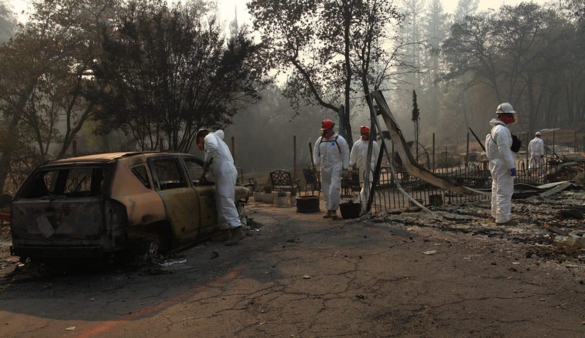 45066141025_50a36afc86_k