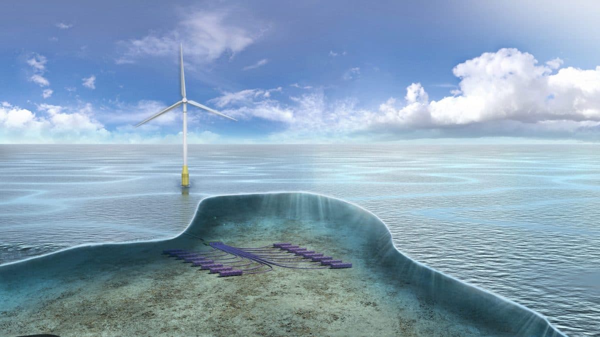 DeepPurple_Illustration_11_smaller