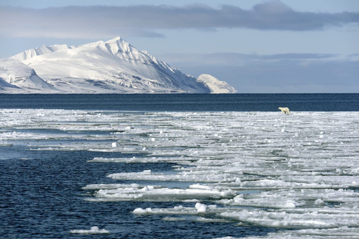 35057613035_b1236214b9_k