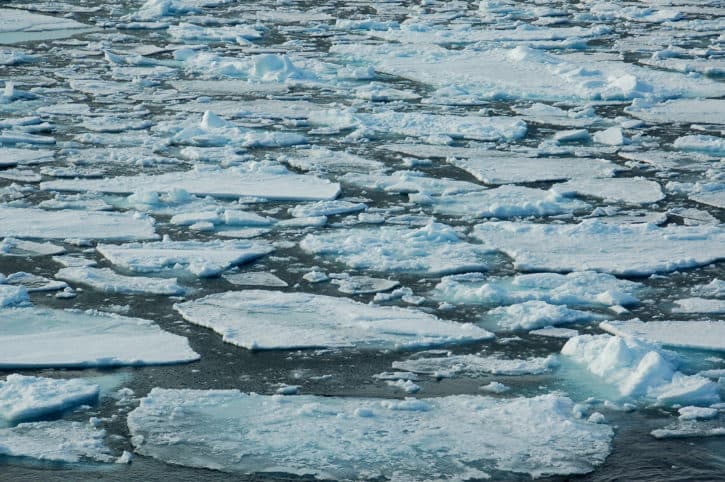Arctic pack ice