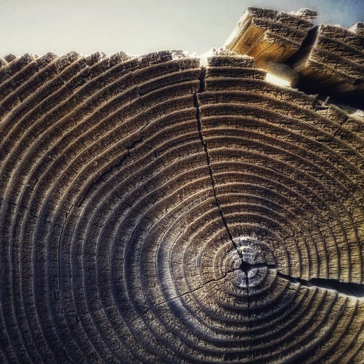 48506696177_50ff9e1ea2_k