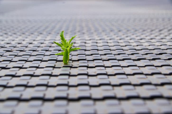 33817764234_ce916a9ea0_k