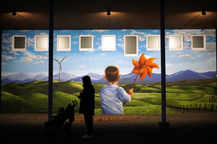 31388698057_1960b94eae_o