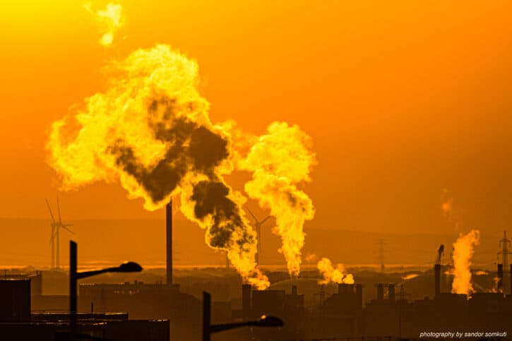 50362548176_4d331a3dc9_o