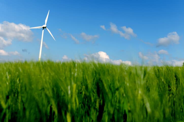 Wind Turbine and Cornfield