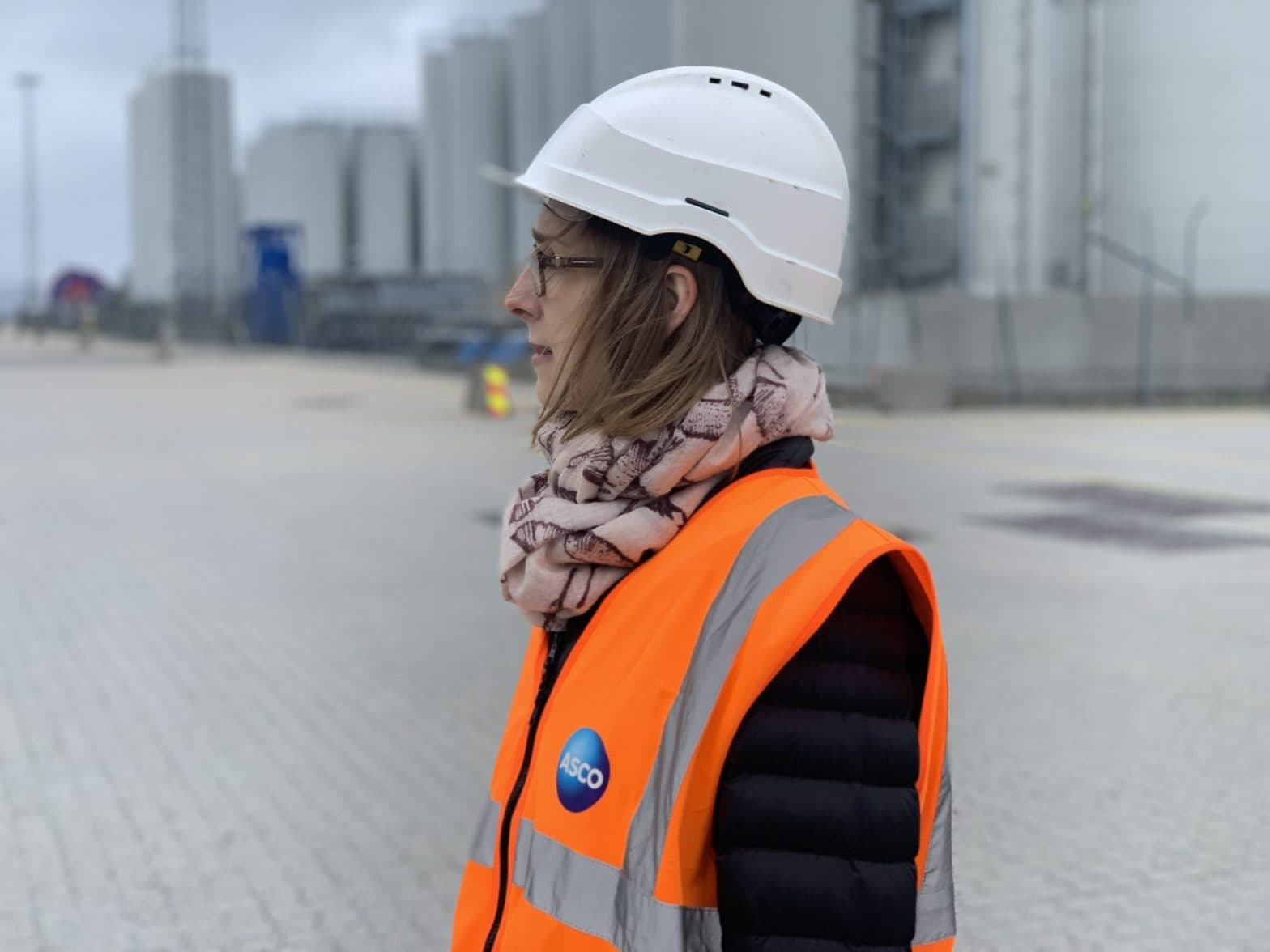 50062005242_91cd05bbf6_o