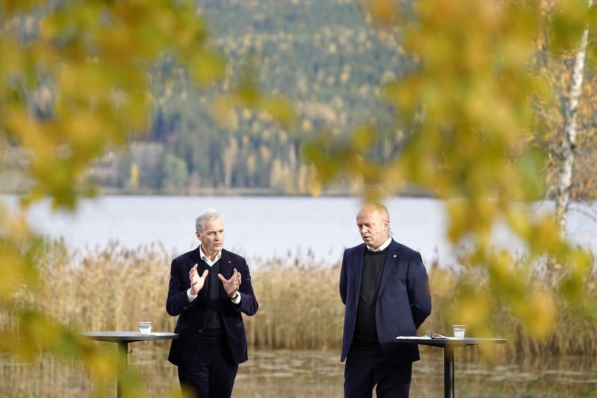 støre og vedum i hurdal