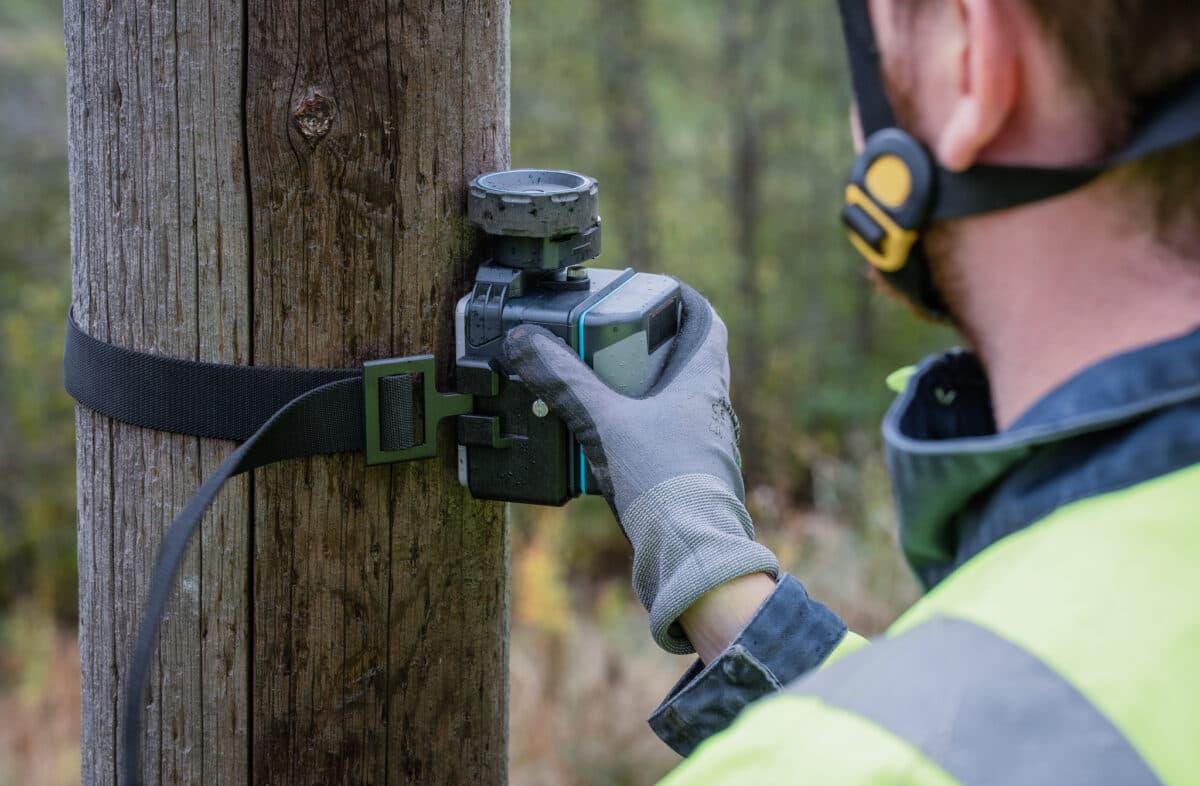 Birdsview – Produkt