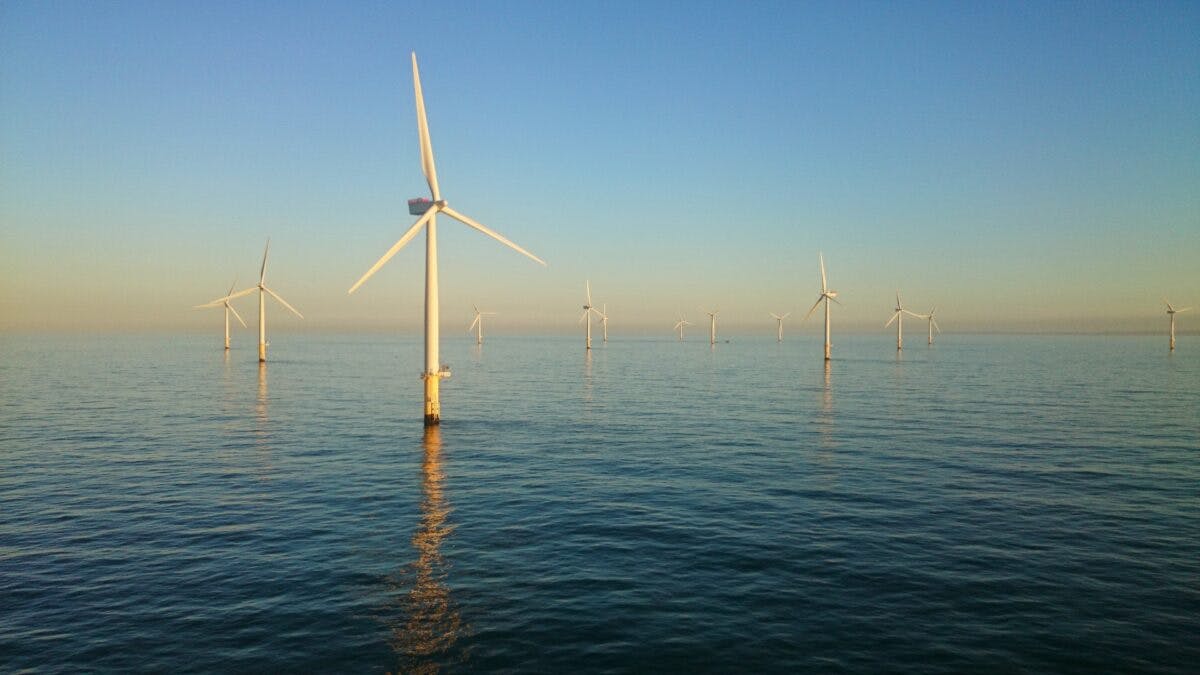 En gruppe vindturbiner i havet.