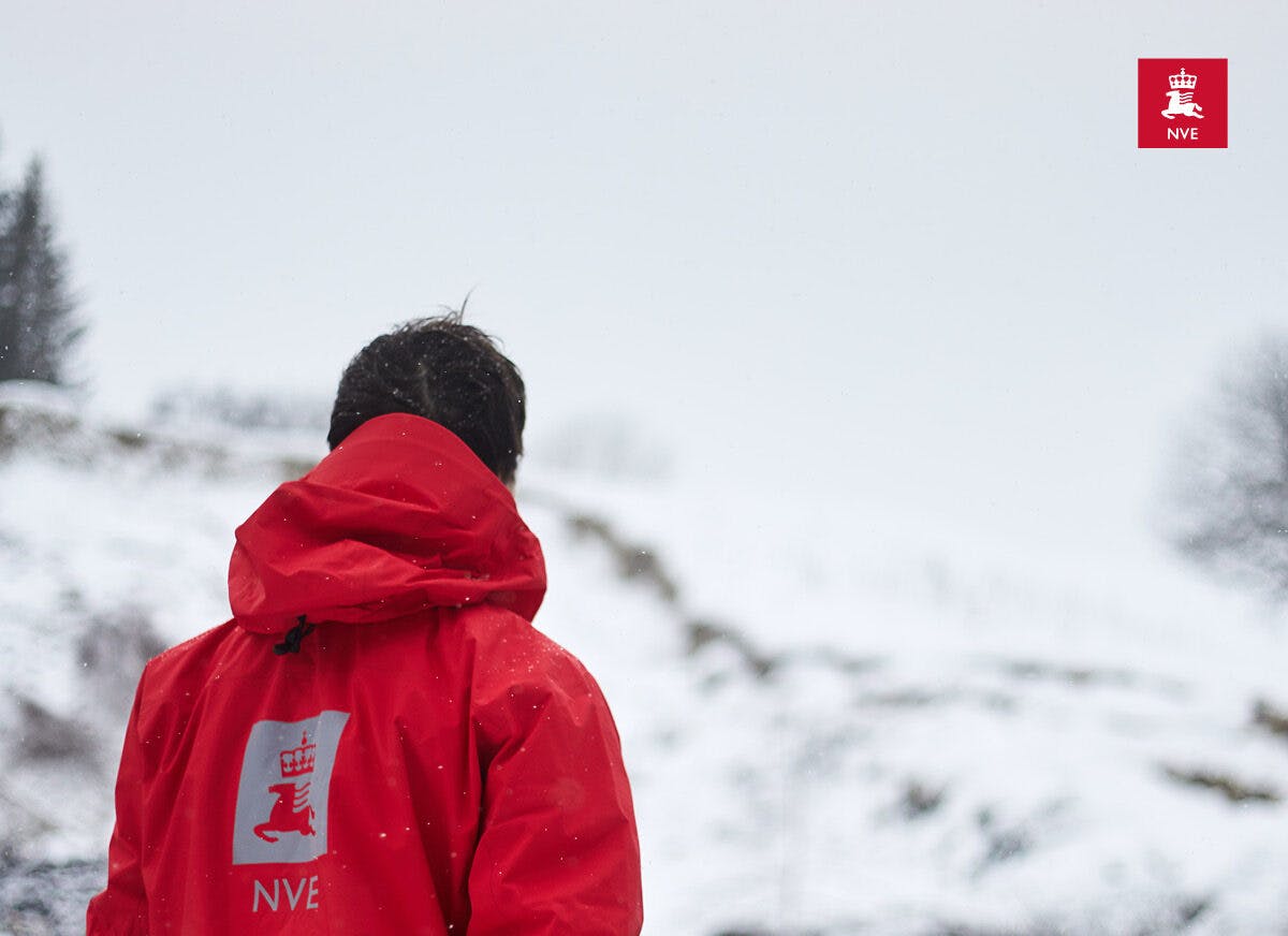 En person i en rød jakke med en hvit logo på baksiden står vendt bort fra kameraet og ser på et snølandskap.