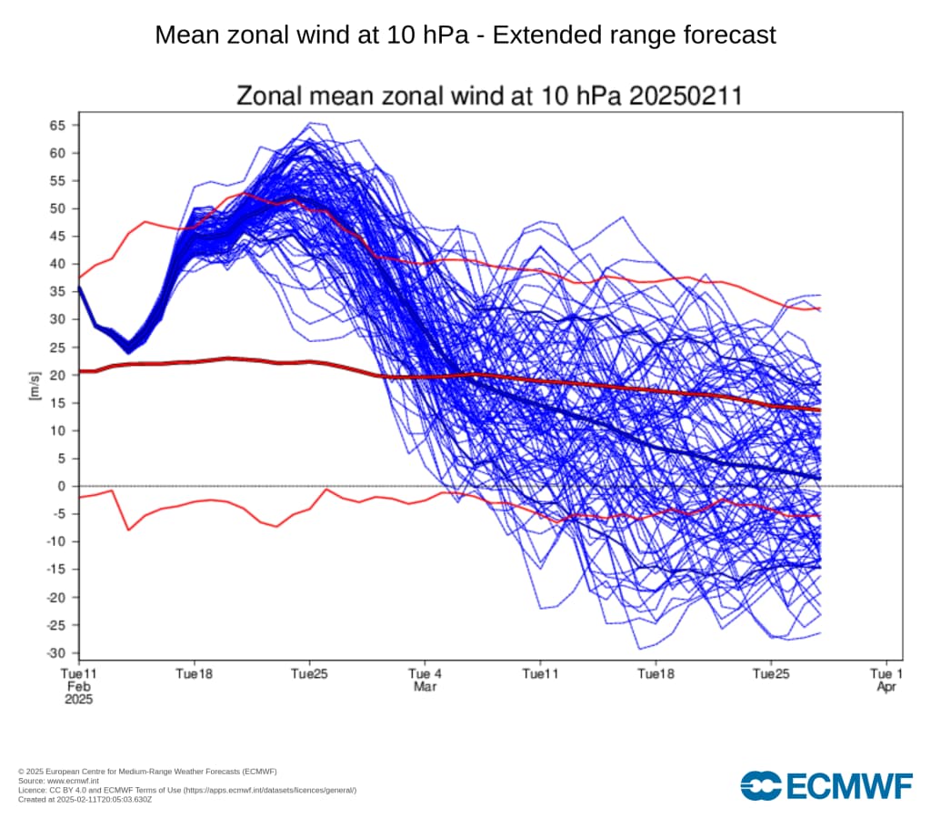 Linjegraf som viser prediksjoner av gjennomsnittlig sonevind ved 10 hPa for februar 2025. Individuelle modelllinjer i blått, med gjennomsnittlige og observerte trender i rødt. Data fra ECMWF.