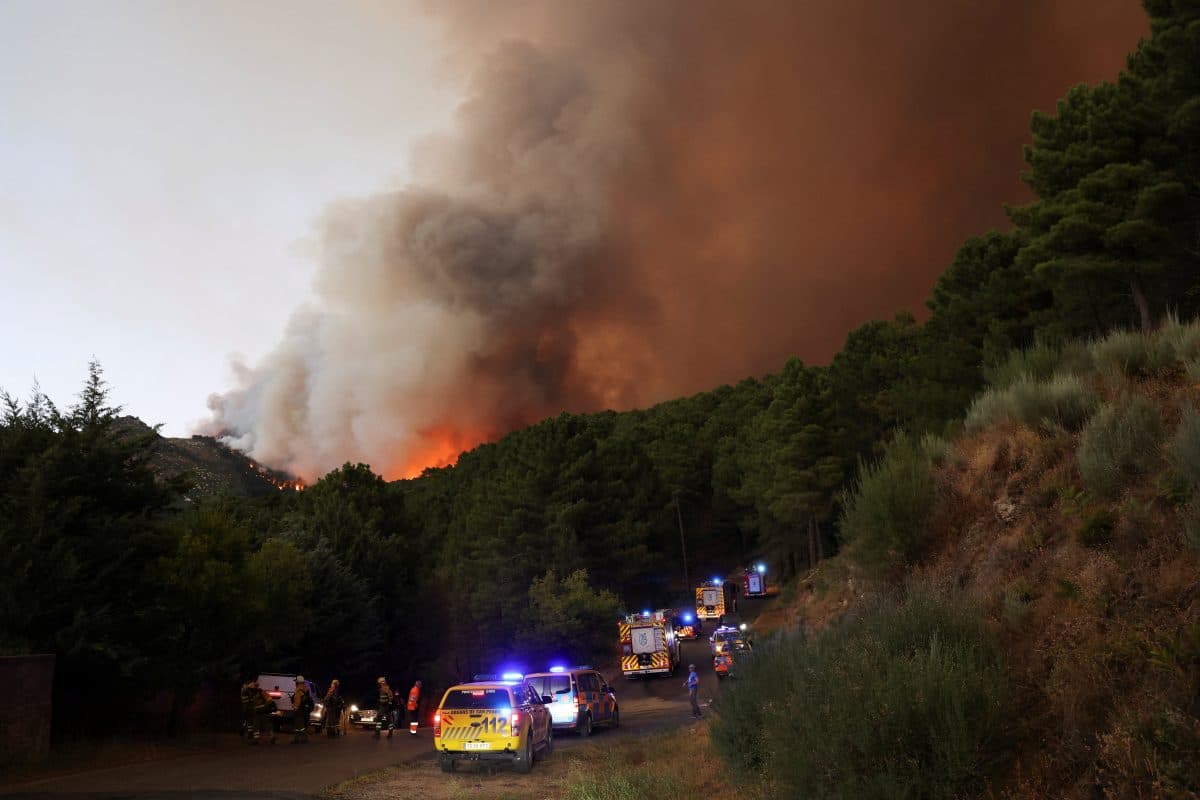 Brannmannskaper og utrykningskjøretøy rykker ut til en stor skogbrann som sprer seg i et skogsområde, med tykk røyk som bølger opp mot himmelen.