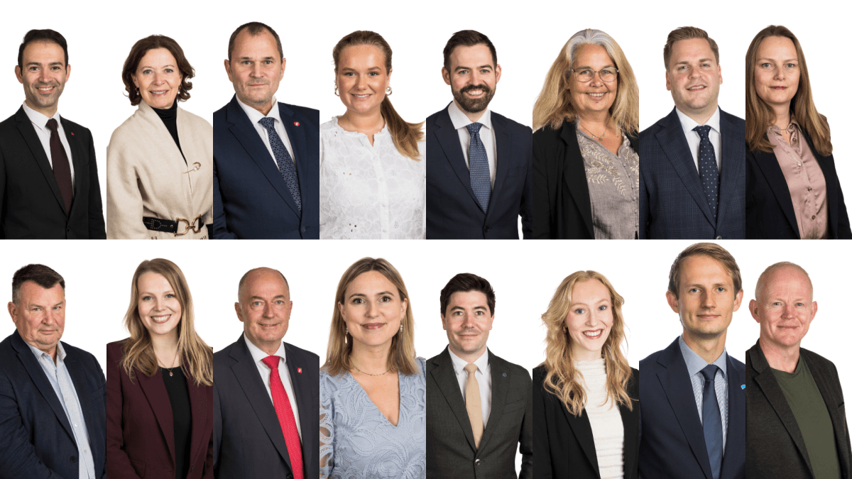 Energi- og miljøkomite medlemmer 2025