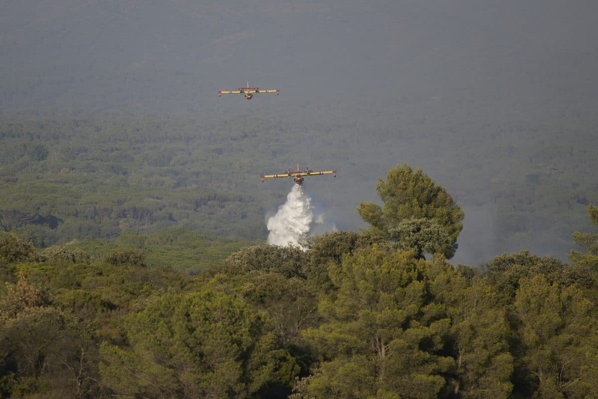 To brannslukningsfly flyr over en skog, og det ene slipper en strøm av vann over trærne nedenfor.