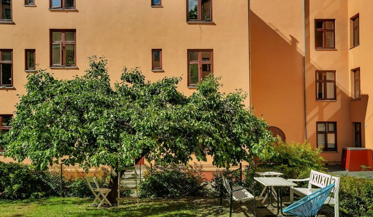 Et løvrikt tre står i en gressbevokst gårdsplass med utemøbler, inkludert stoler, en benk, et bord og en hengekøye, ved siden av en ferskenfarget boligblokk.