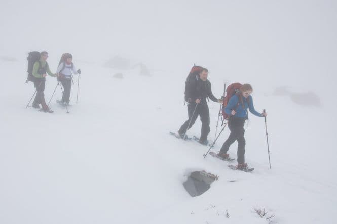 I tett tåke i fjellsidene over Hardanger er det lite som minner om Grønlandsisen. Henning Åkesson, Nora Loose, Kerim Hestnes Nisancioglu og Lisa Lolk Hauge har ennå langt igjen.