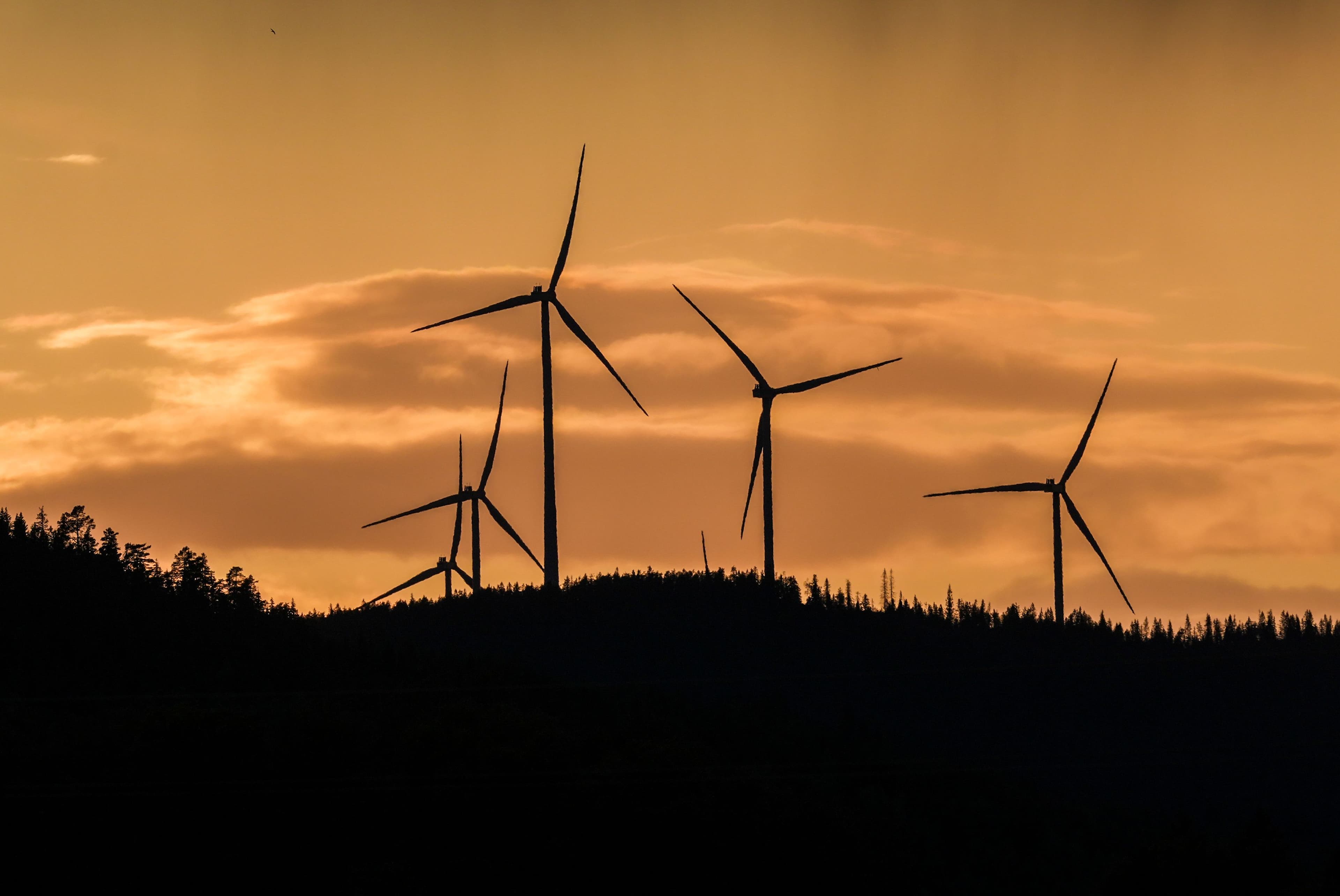 Silhuett av vindturbiner på en skogkledd ås mot en gyllen solnedgang.