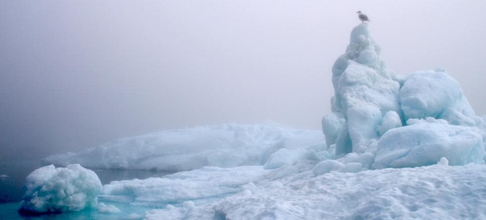 Isfjell på Grønland, sommeren 2014 (foto: Iselin Medhaug).